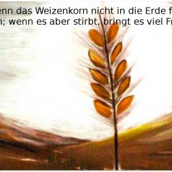 > Weitere Infos